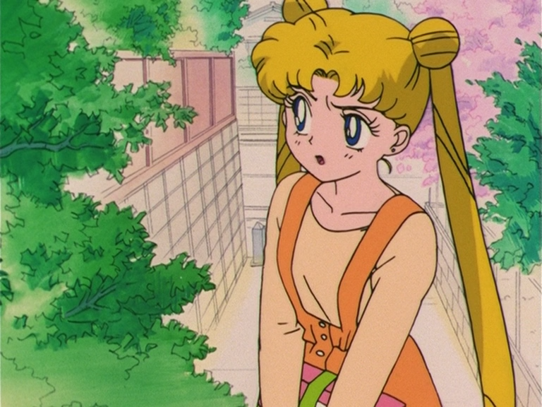 Sailor Moon S (Tonoss)