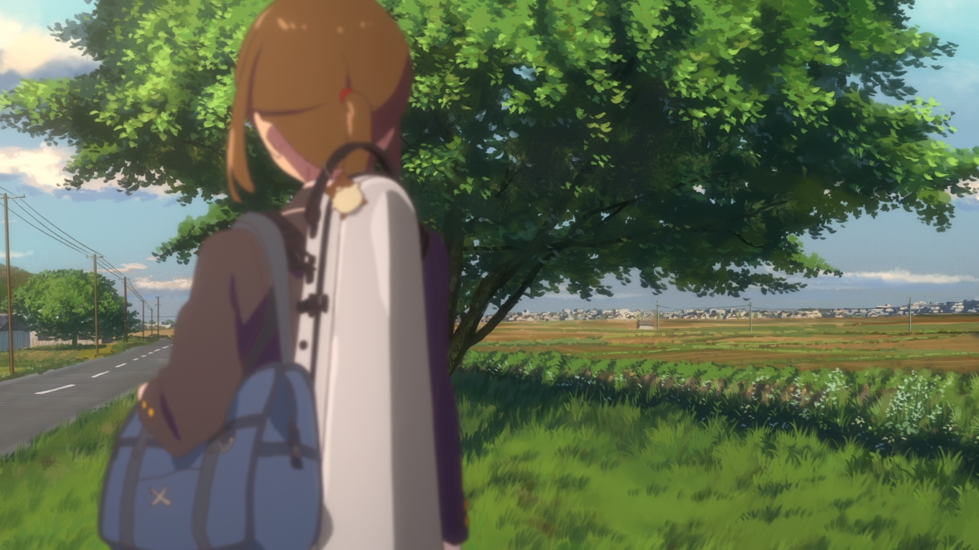 Hakubo (Anarchy Subs)