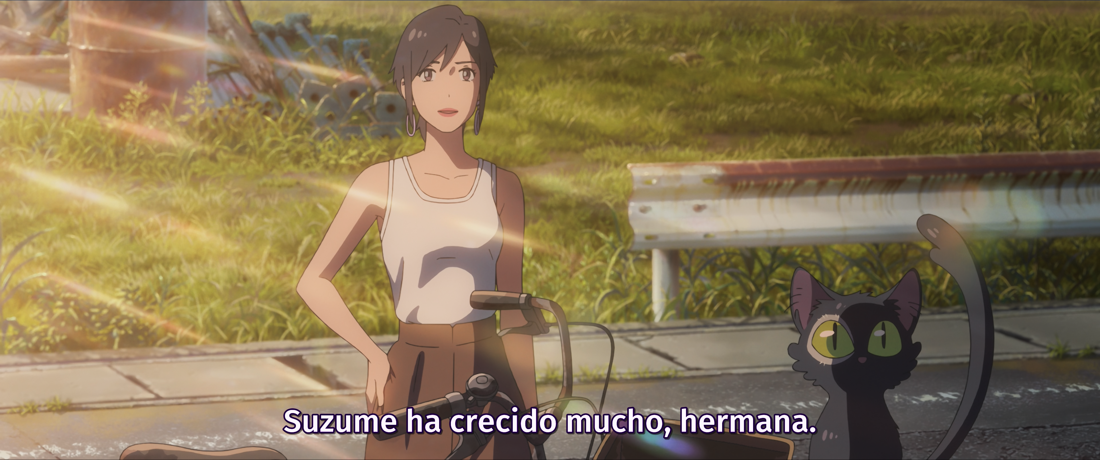 Suzume (Anarchy Subs)