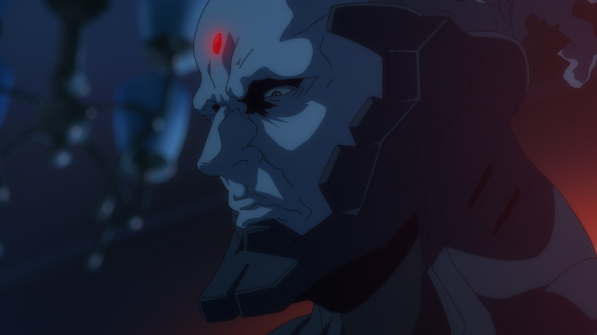 Ninja Kamui (Anarchy Subs)