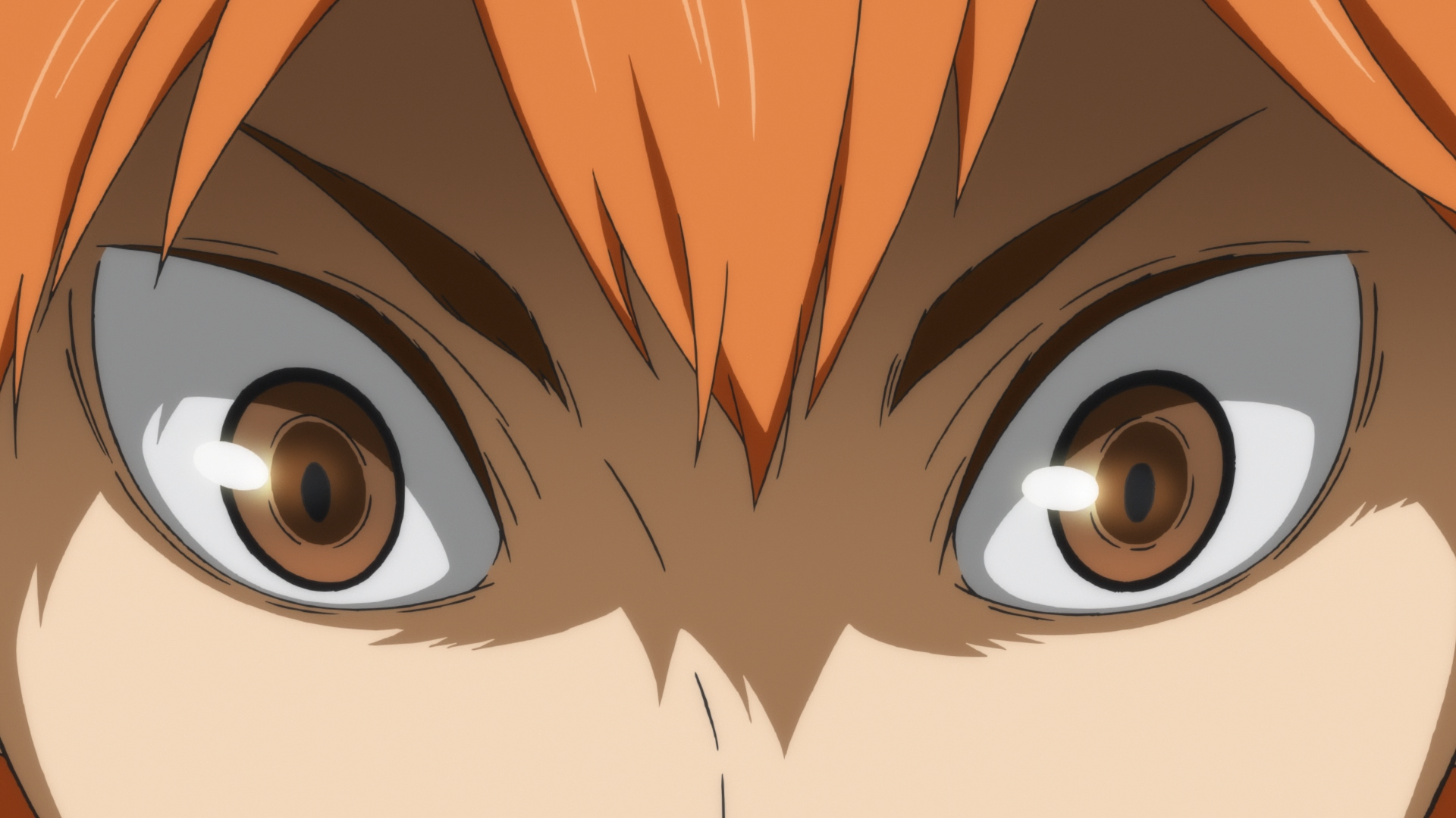Haikyuu!!: To the Top (Davi)