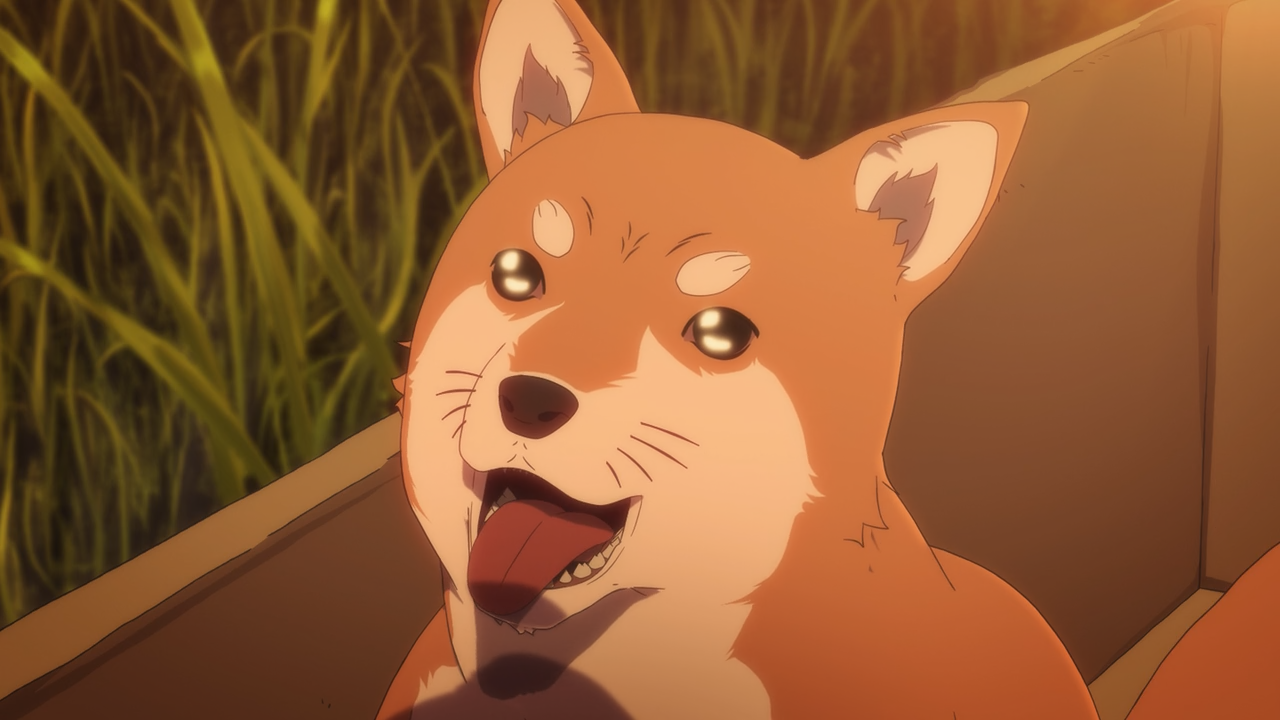 Inuyashiki [BD] (Ñyuum)