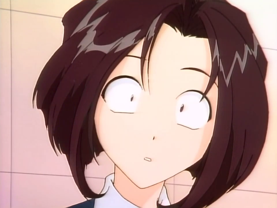 Taiho Shichau zo (El Mejor Anime Fansub)