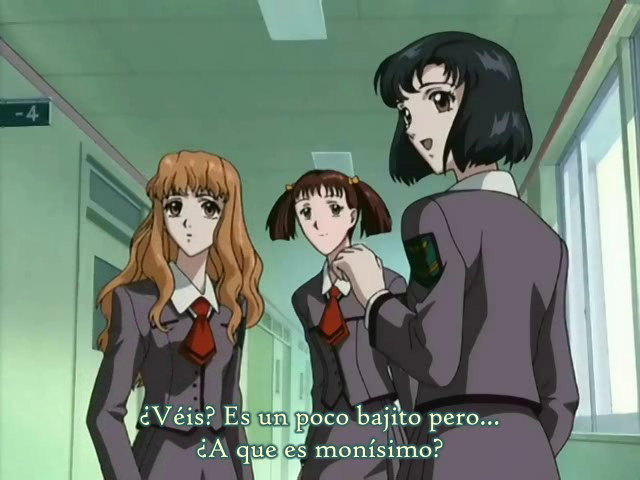 X, la serie (Gokuraku Fansubs)