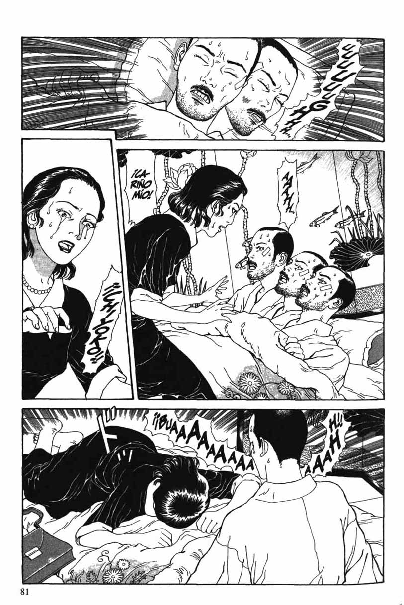 La Extraña Historia de la Isla Panorama (?)