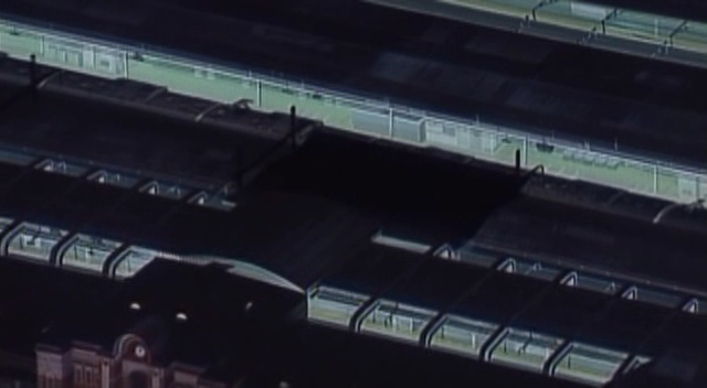 X, la película (Gokuraku Fansubs)