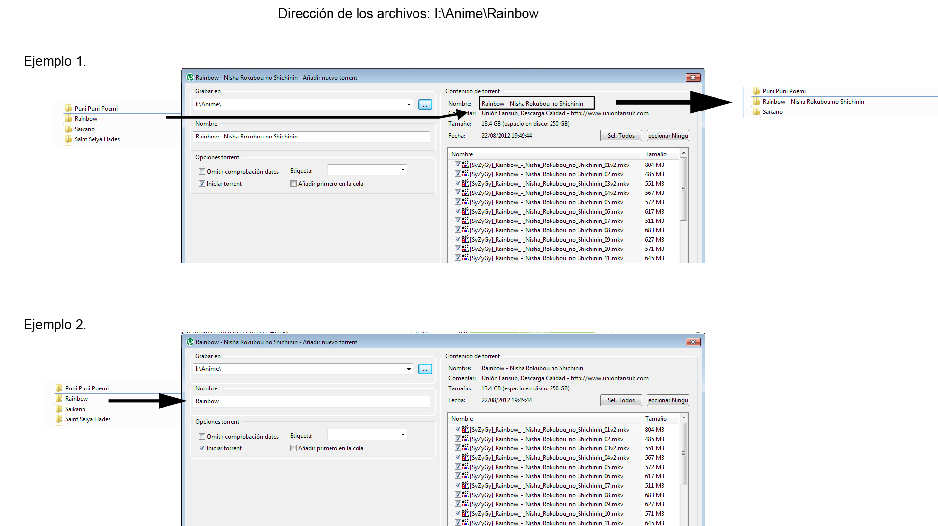 Seedear archivos descargados por DD (Seleccionar la ruta del archivo/carpeta)