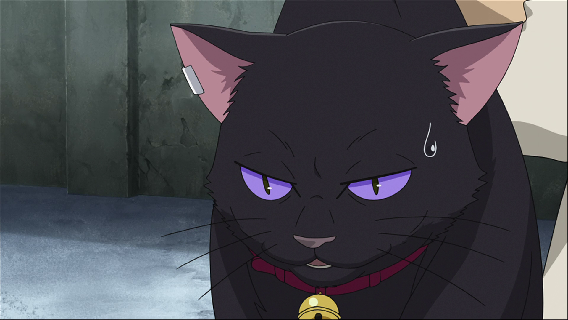 Darker than Black (NoSoloAnime Team)