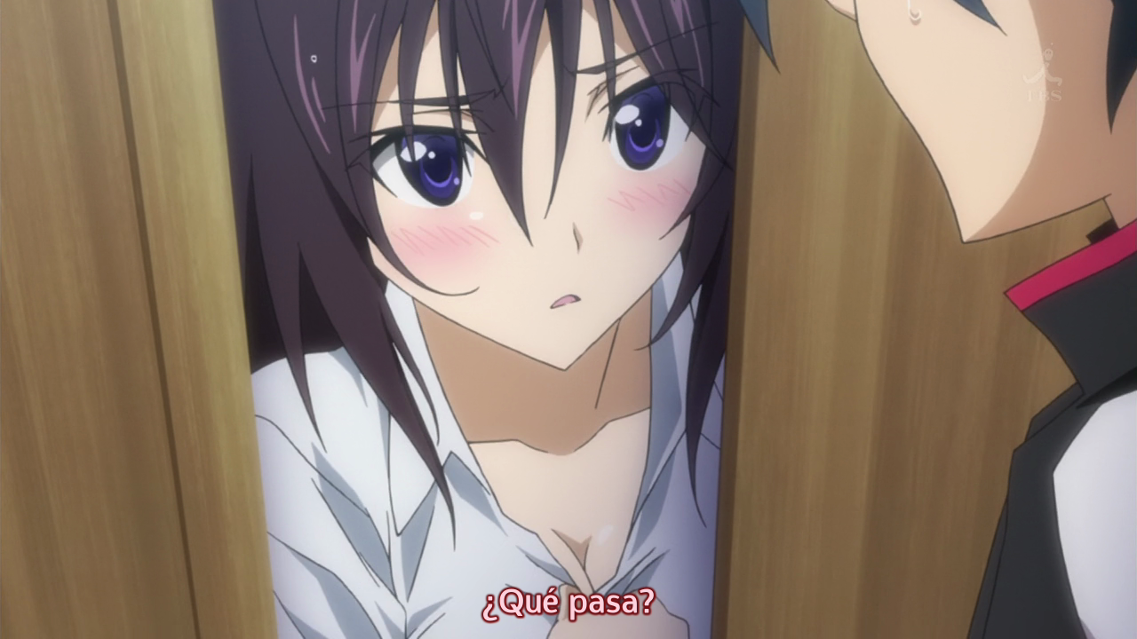 IS: Infinite Stratos 2 (Homika Subs)