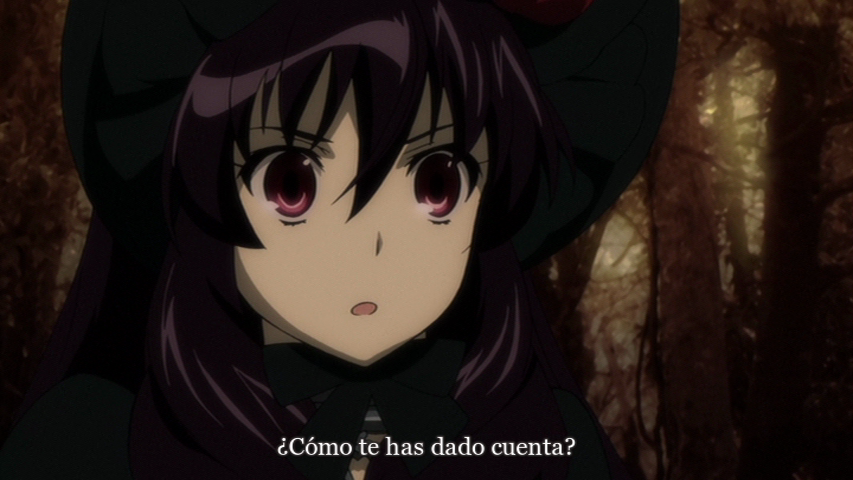 Dantalian no Shoka: Ibarahime (Senzou)