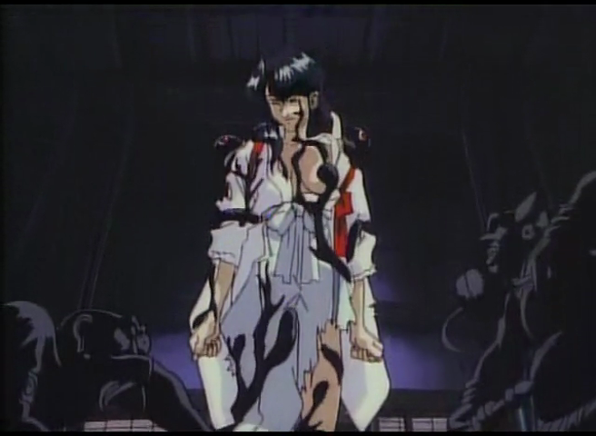 Doomed Megalopolis (Key-Anime Fansub)