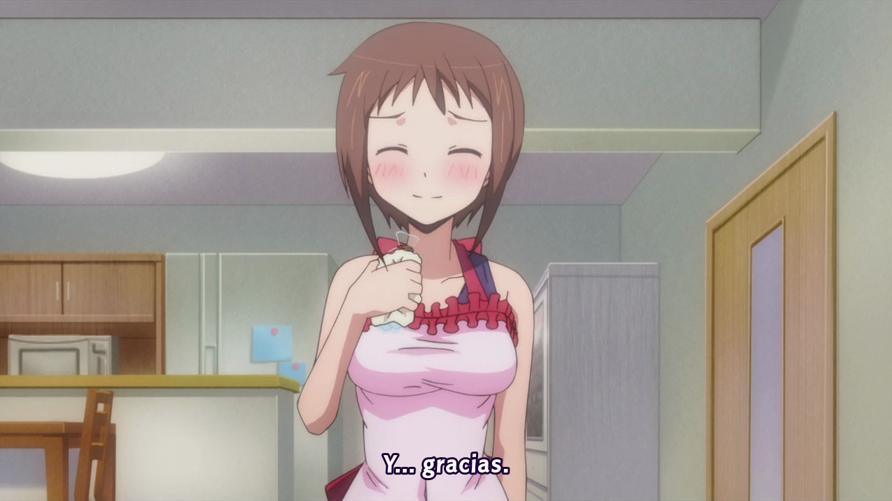 Okusama ga Seitokaichou! (Ficticio Fansub)