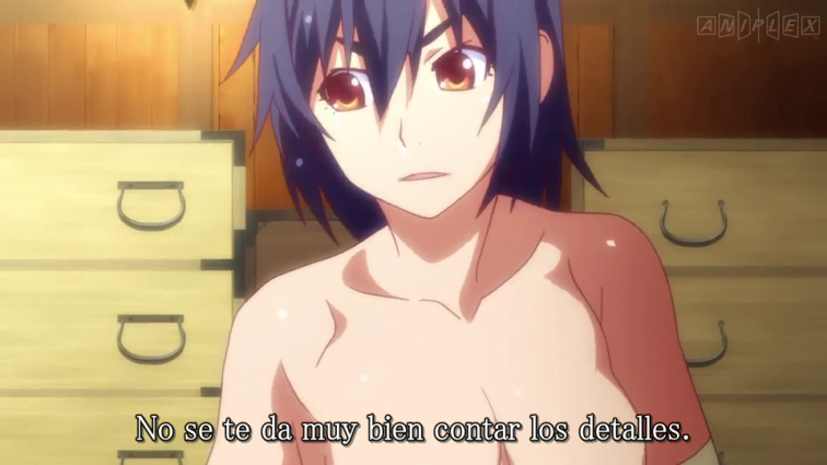 Koyomimonogatari (Haha no Fansub)