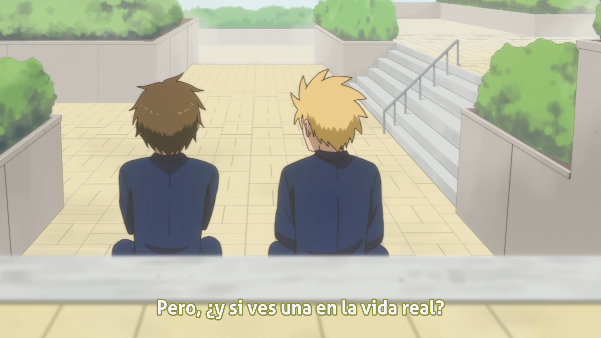 Danshi Koukousei no Nichijou Specials (Hygesubs)