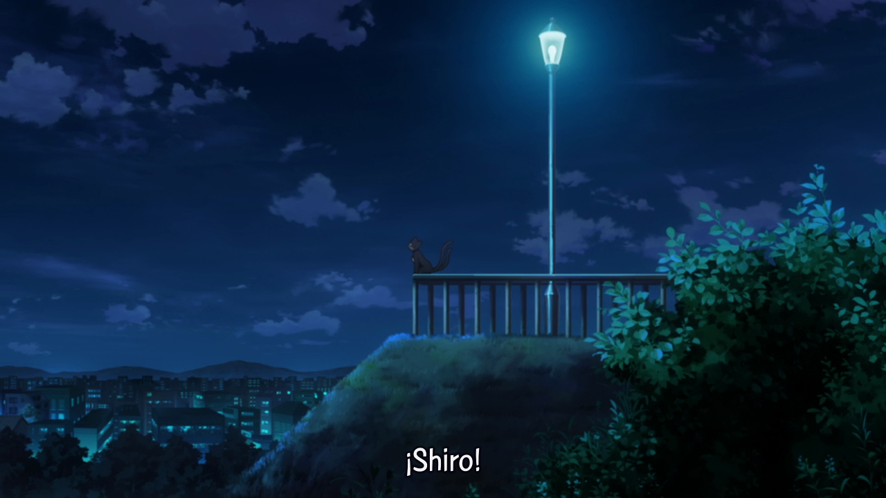 Blue Exorcist (BackBeard)