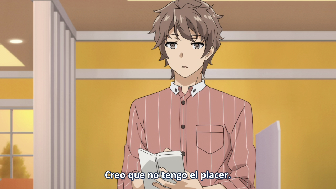 Seishun Buta Yarou wa Bunny Girl Senpai no Yume wo Minai (Ñyuum)