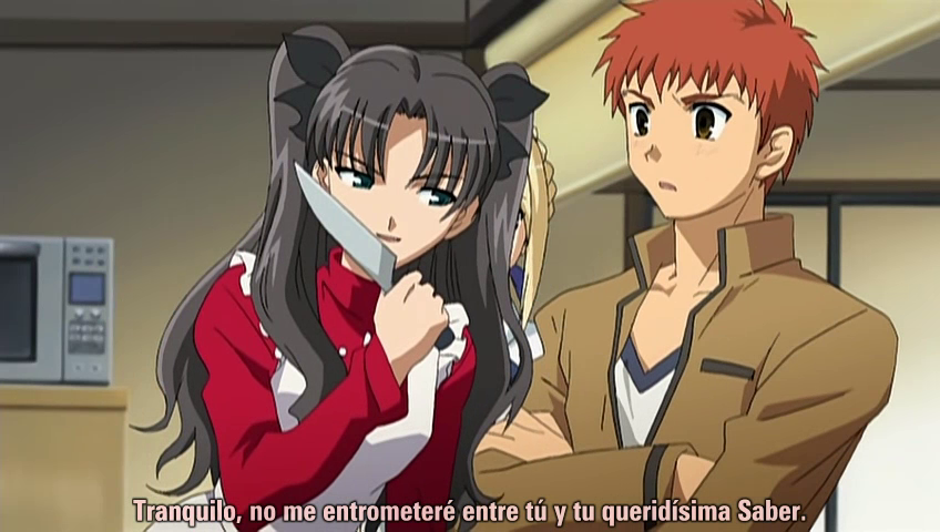 Fate/stay night (Anime Underground)