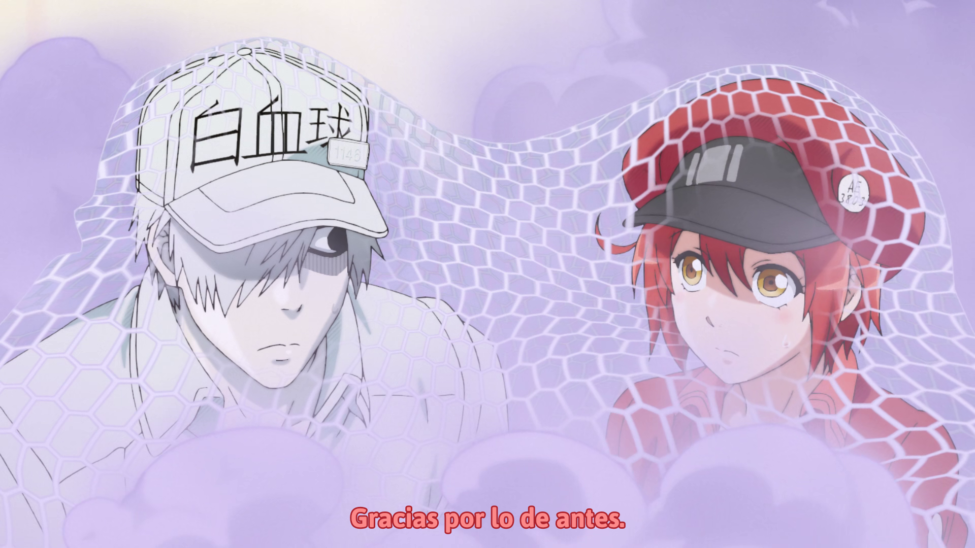 Hataraku Saibou (TV) (Otaku Tail No Fansub)