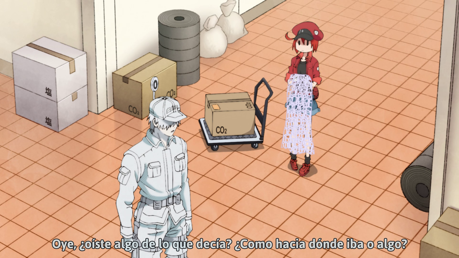 Hataraku Saibou (TV) (Otaku Tail No Fansub)