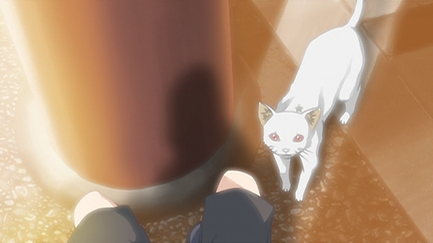 Hoshizora Kiseki (Fansubber)