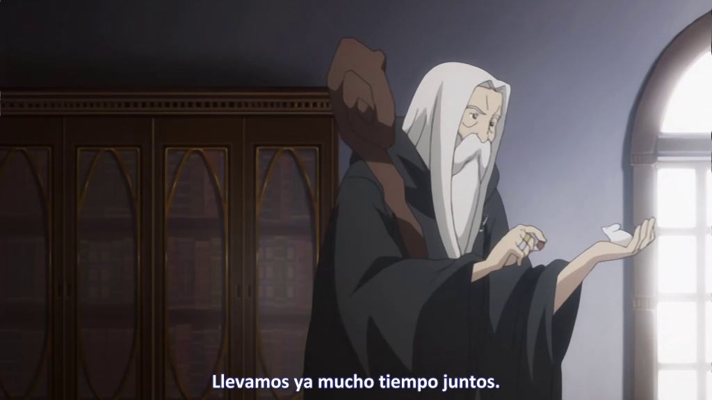 La Magia de Zero (Deviants Fansub)