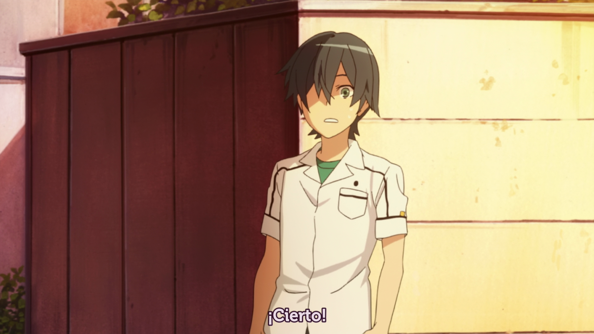 Ookami-san to Shichinin no Nakama-tachi (NoFansub)