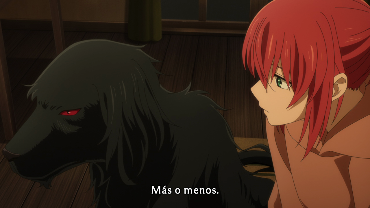 Mahoutsukai no Yome: Nishi no Shounen to Seiran no Kishi (Ñyuum)