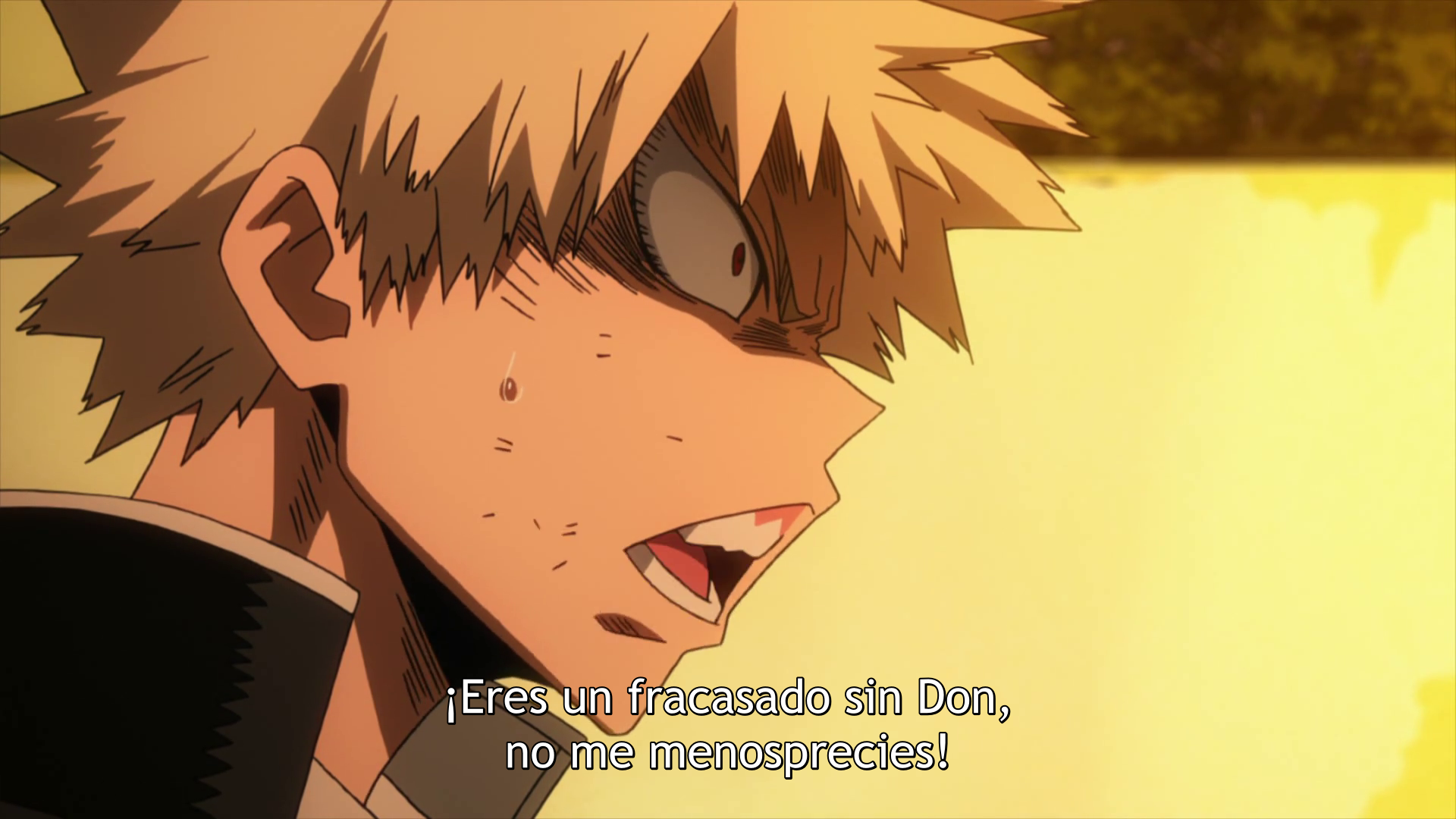 Boku no Hero Academia ([Erais-raws])