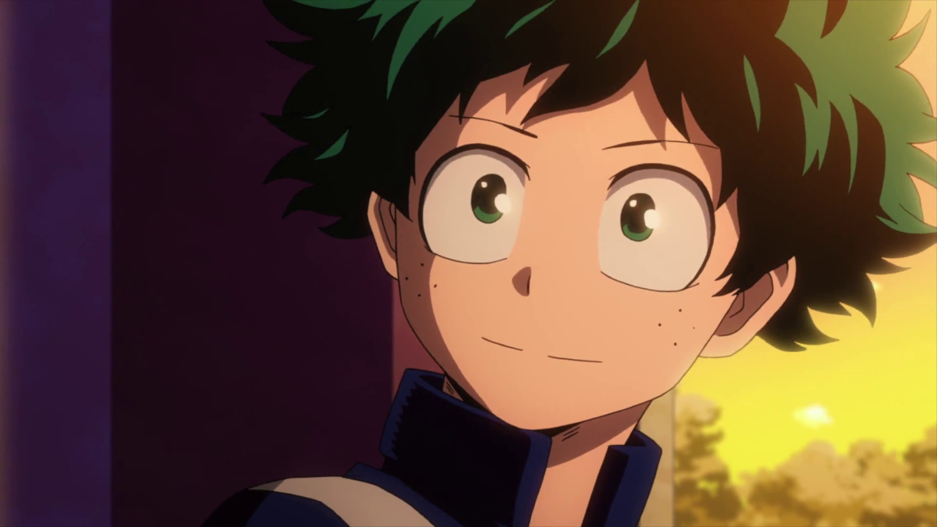 Boku no Hero Academia ([Erais-raws])