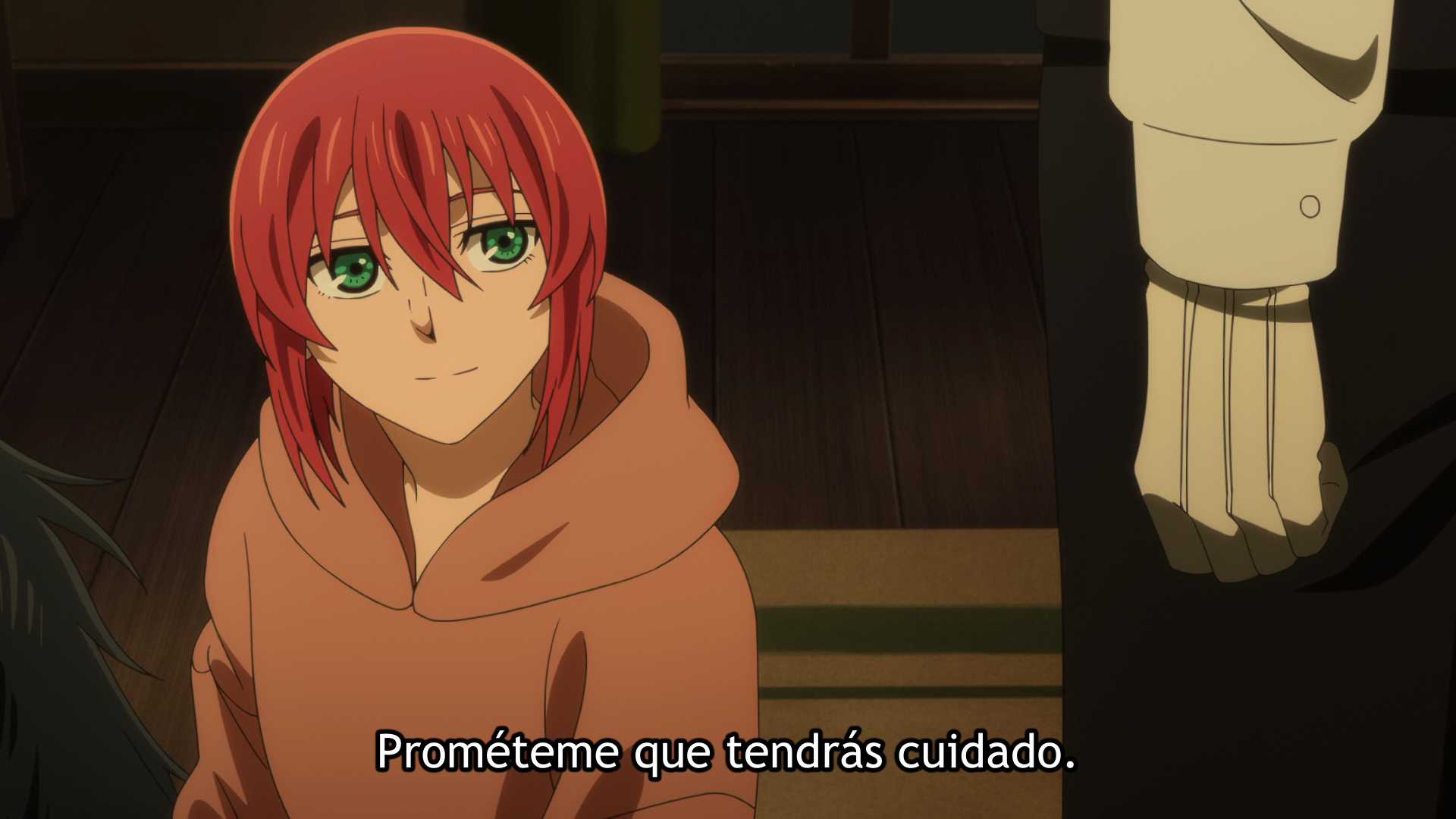 The Ancient Magus' Bride: The Boy from the West and the Knight of the Blue Storm (Deiki)