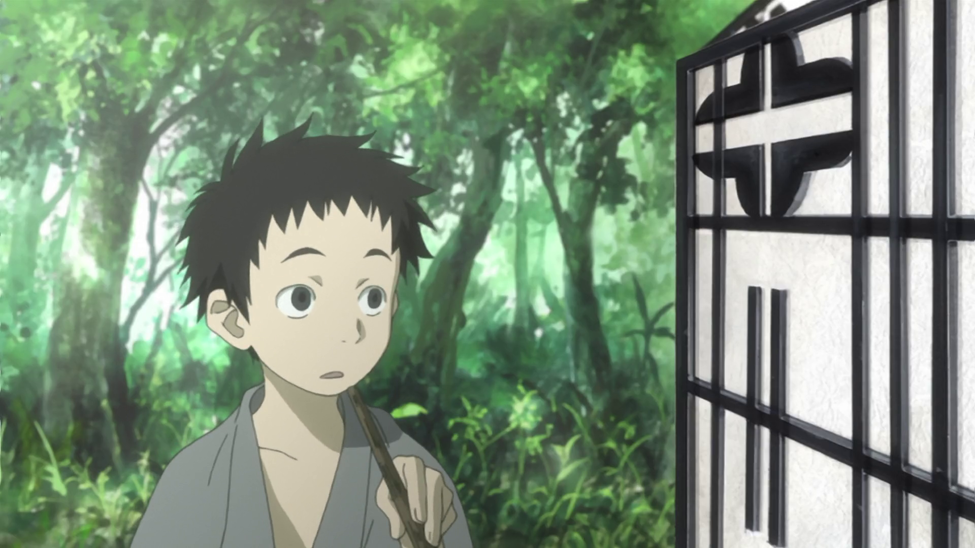 Mushishi (luipi)