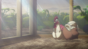 VARYG: Rooster Fighter