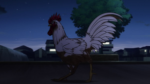 VARYG: Rooster Fighter